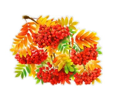 Плакат 'Ветка рябины', P2V-304