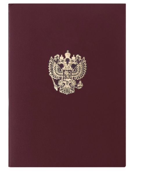 Снимок экрана 2026-05-13 104925
